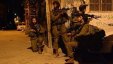 الاحتلال يعتقل 12 مواطنا من الخليل