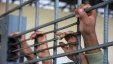 هيئة الأسرى: أسيران قاصران قيد الاعتقال الإداري داخل معتقل 