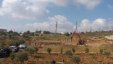 الاحتلال يهدم سورا زراعيا غرب رام الله