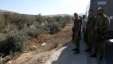 الاحتلال يقطع أشجارا وينصب كاميرات مراقبة شمال بيت لحم