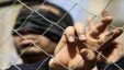 أربعة أسرى من الضفة وغزة يدخلون أعوامًا جديدة داخل سجون الاحتلال